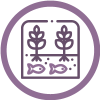 ico-naturaleza