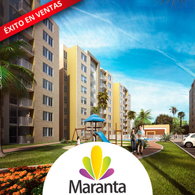 maranta-proyecto-csb